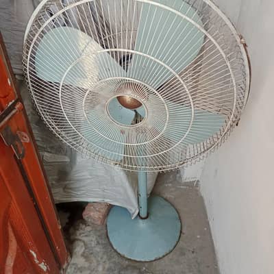 gfc padistel fan