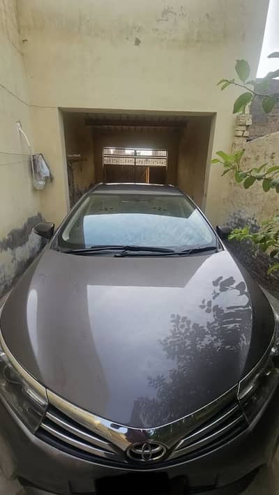 Gli Carolla for Sale Model 16