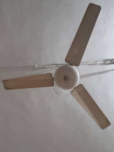fan for sale
