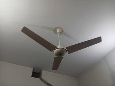 Royal ceiling fan 56" 99.9 % cooper