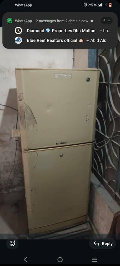 pel fridge for sale