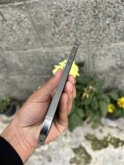 16 pro max unlock 4 months esim back crack