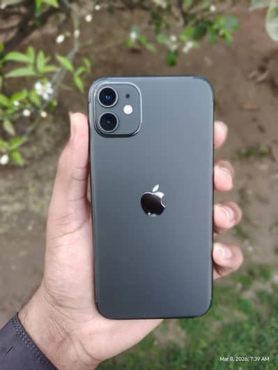 iPhone 11 Used-LikedNew