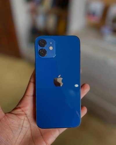 iphone 12 all brand new condition
