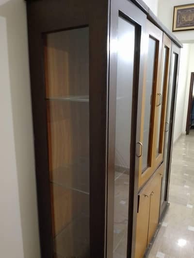 Selling a full size divider / showcase