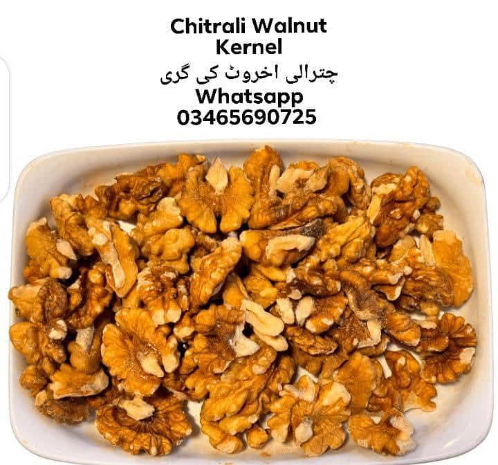Chitrali Walnut Kernel 0