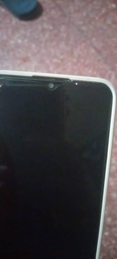 Viv y20s exchange possible