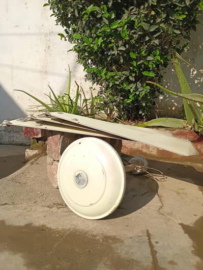 Ceiling Fans for Sale