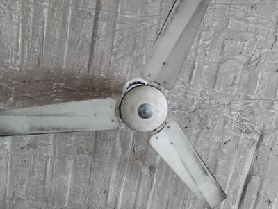 ceiling royal fans oragenal copper 