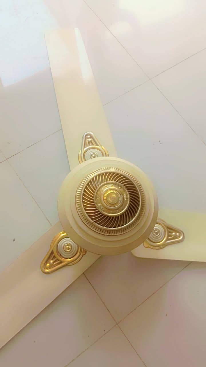Ceiling Fan 0