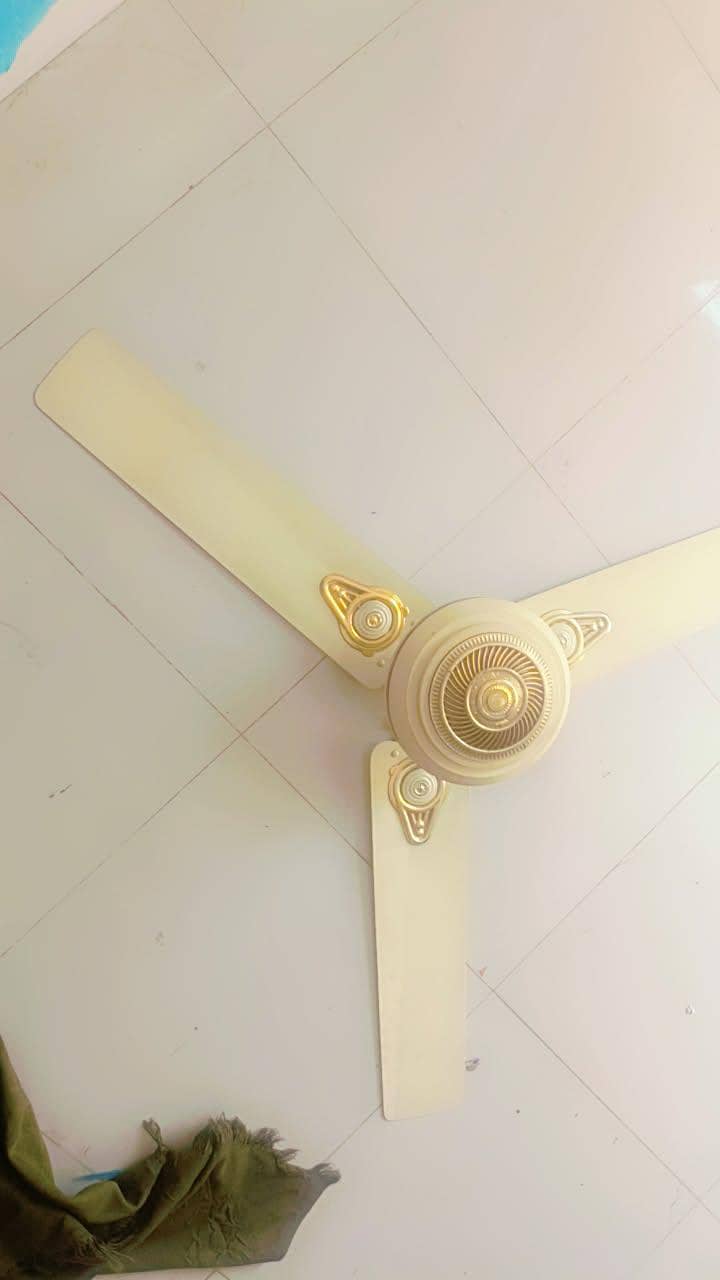Ceiling Fan 1