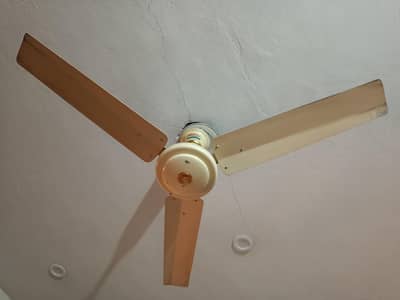 2 Ceiling Fan Each 3000