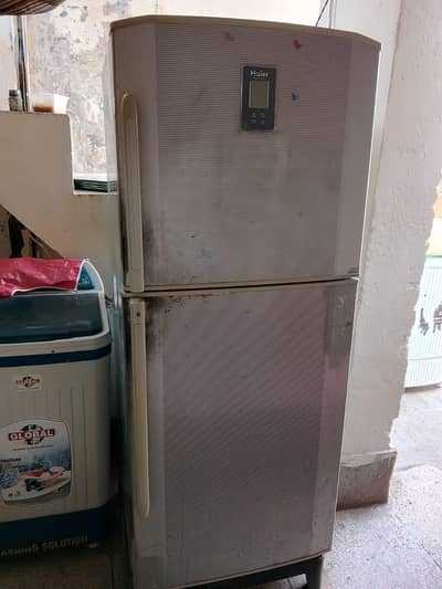 Haier large size fridge