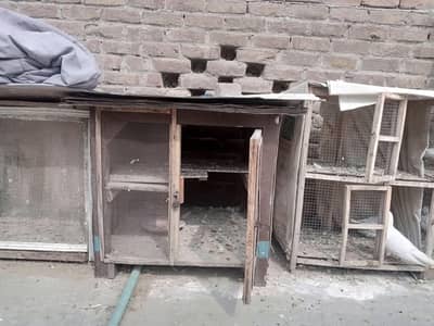 4 Cages double portion, 3500/piece