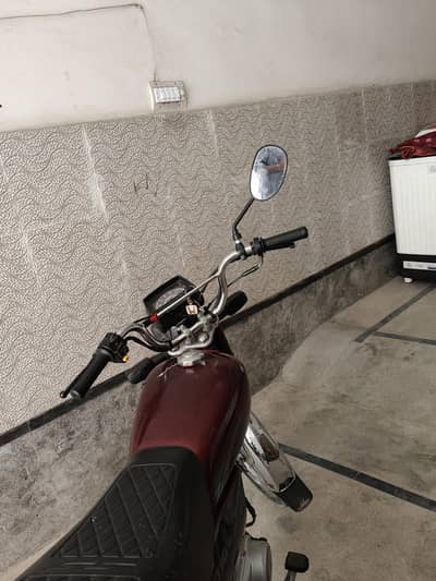 neet and clean august 2024