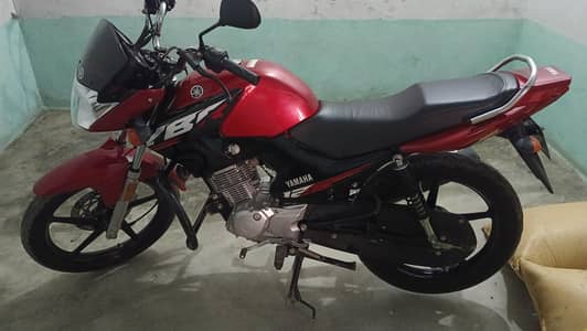 Yamha YBR 125 brand new
