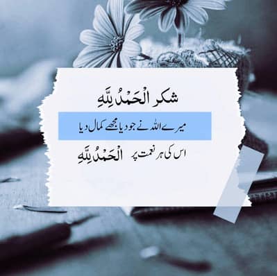 Google pixel 7a 8/128 lush condition 10/10