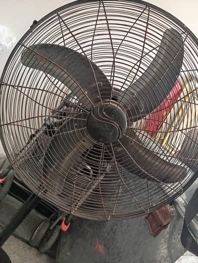 pedistal fan black in clr