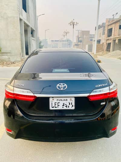 My family us gli for sale