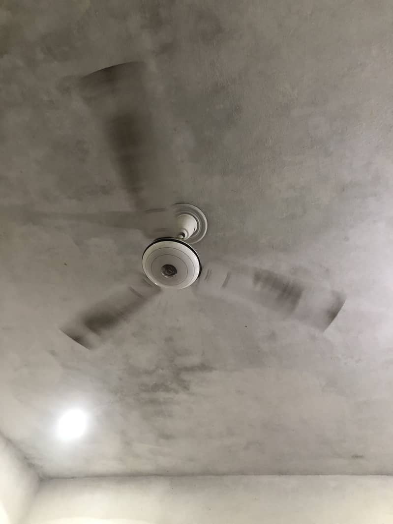 Fans for ceiling 2