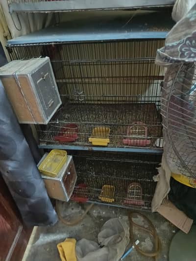 4 building cage