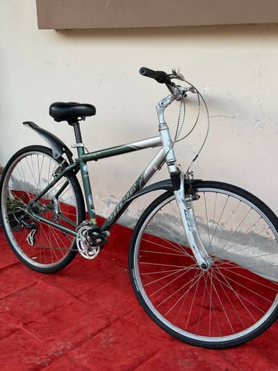 Giant Cycle For Sale