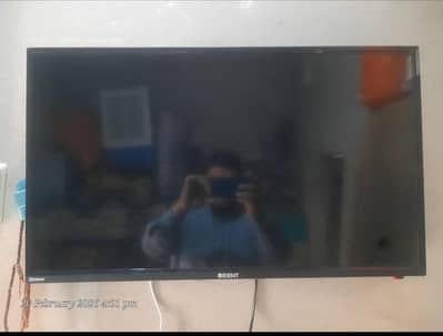 Orient Led Original Company 32" Simple Not Android