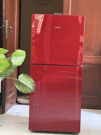 Haier E-Star fridge with Stand and Stabiliser - 7 CFT for small family