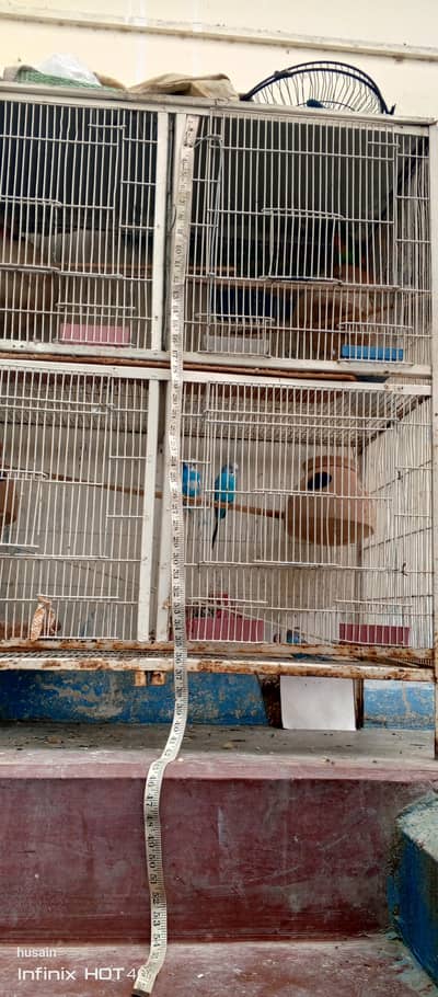 pinjra sell karna hy price