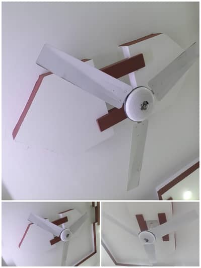 GFC Ceiling fan