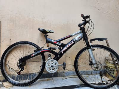 Phoenix mountain bikd