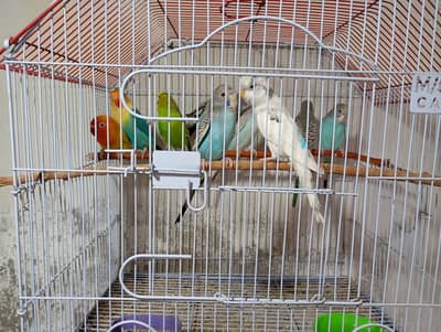 Only interested people contact