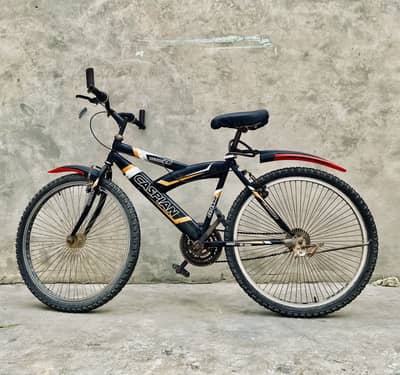 Caspian 26 Cycle – New Tires & Brakes – With Hunter Lock