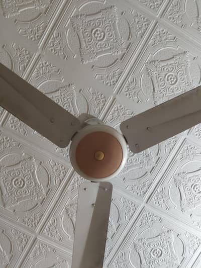 Sonex Ceiling Fan for Sale - Good Working Condition"