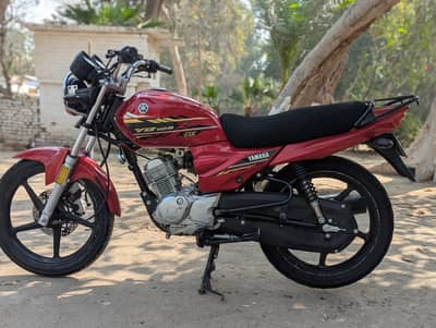 YAMAHA YBZ DX 03313939676