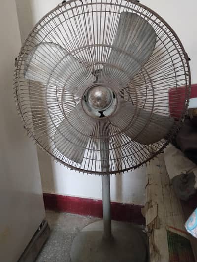 Pedestal Fan - Safari