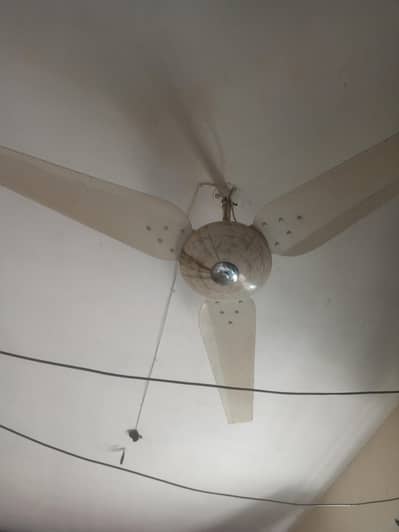 royal fan ceiling fan
