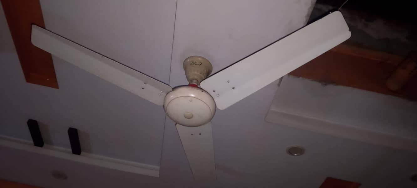 Ceiling Fan 1