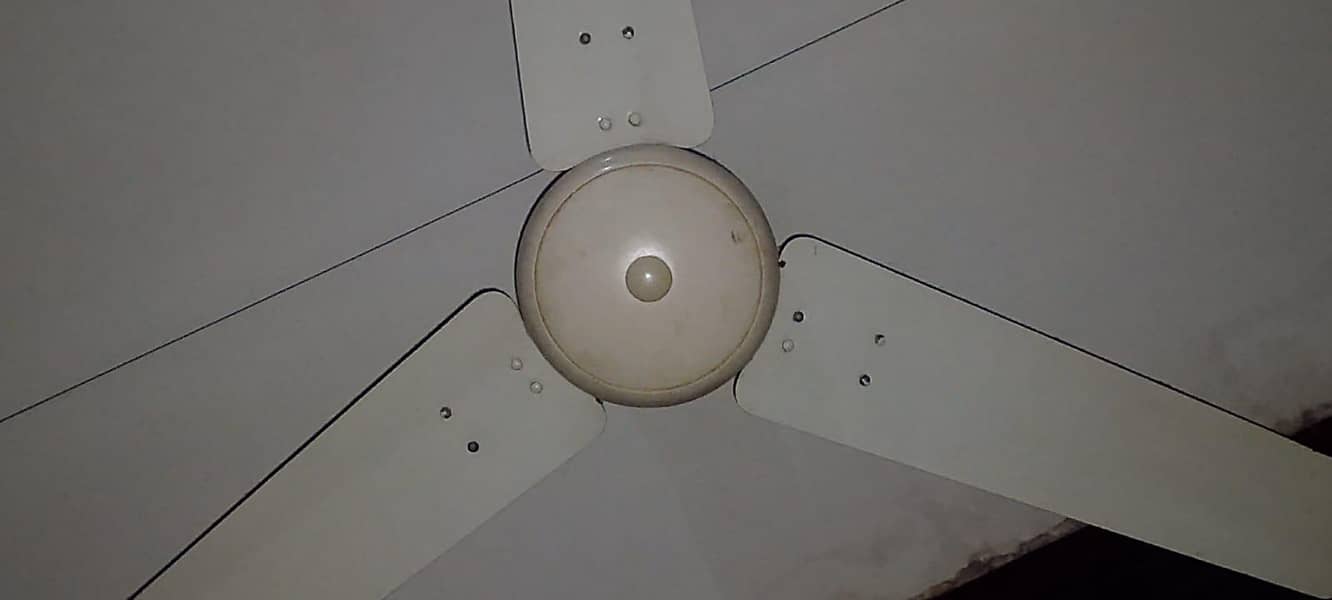 Ceiling Fan 2