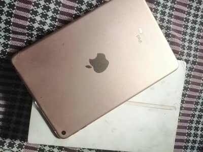 Ipad mini5 lush condition