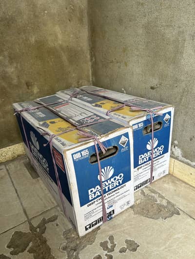 2 Deawoo 12V 115 AH Batteries