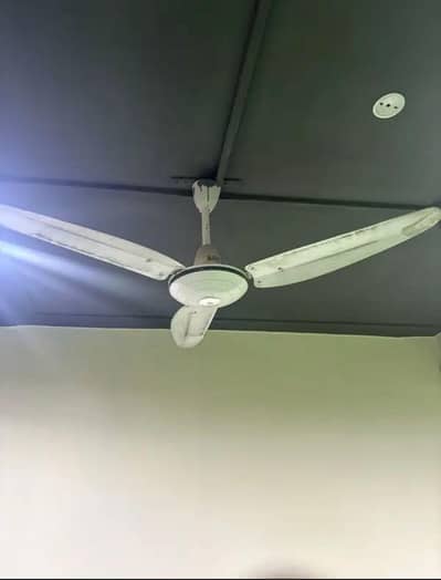 ceiling fan for sale