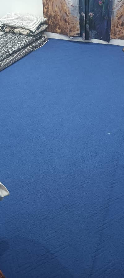 Carpet and under carpet foam for sale