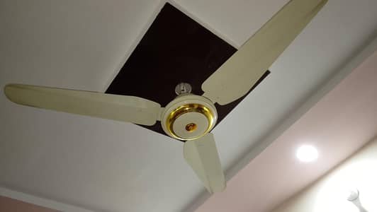 new fan 2 month use 2 roof fan