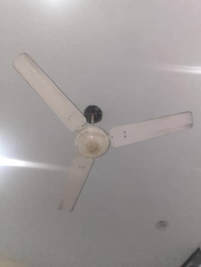 2 celing fans