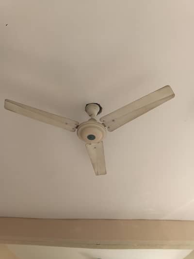 Ceiling Fans for sale