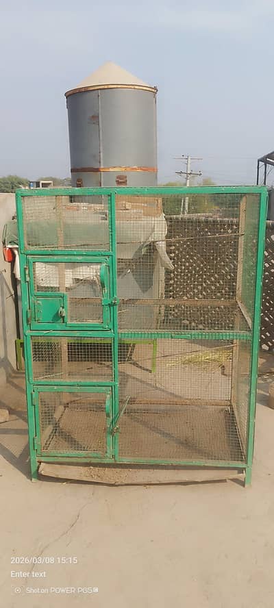 parrots kage double portion