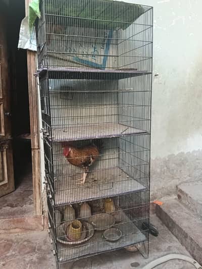 cage fore sale