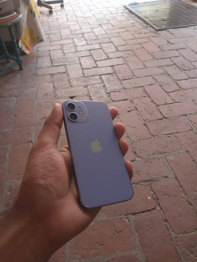 iPhone 12 mini 1