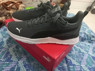 Brandnew Puma 43 size (Original)